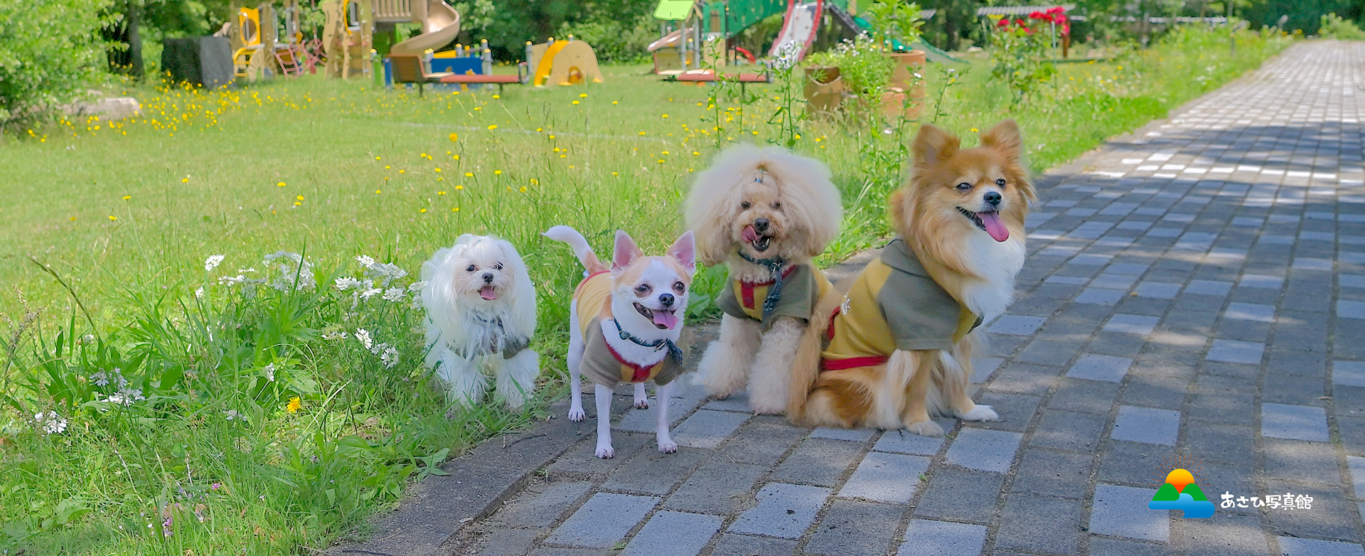 あさひ写真館